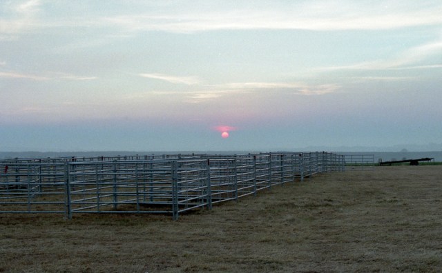 scottish-ruralcarn-499-neg-4