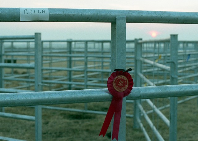 scottish-ruralcarn-499-neg1